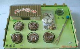 携手义乌市台典工艺品厂，共创工艺品加盟新辉煌